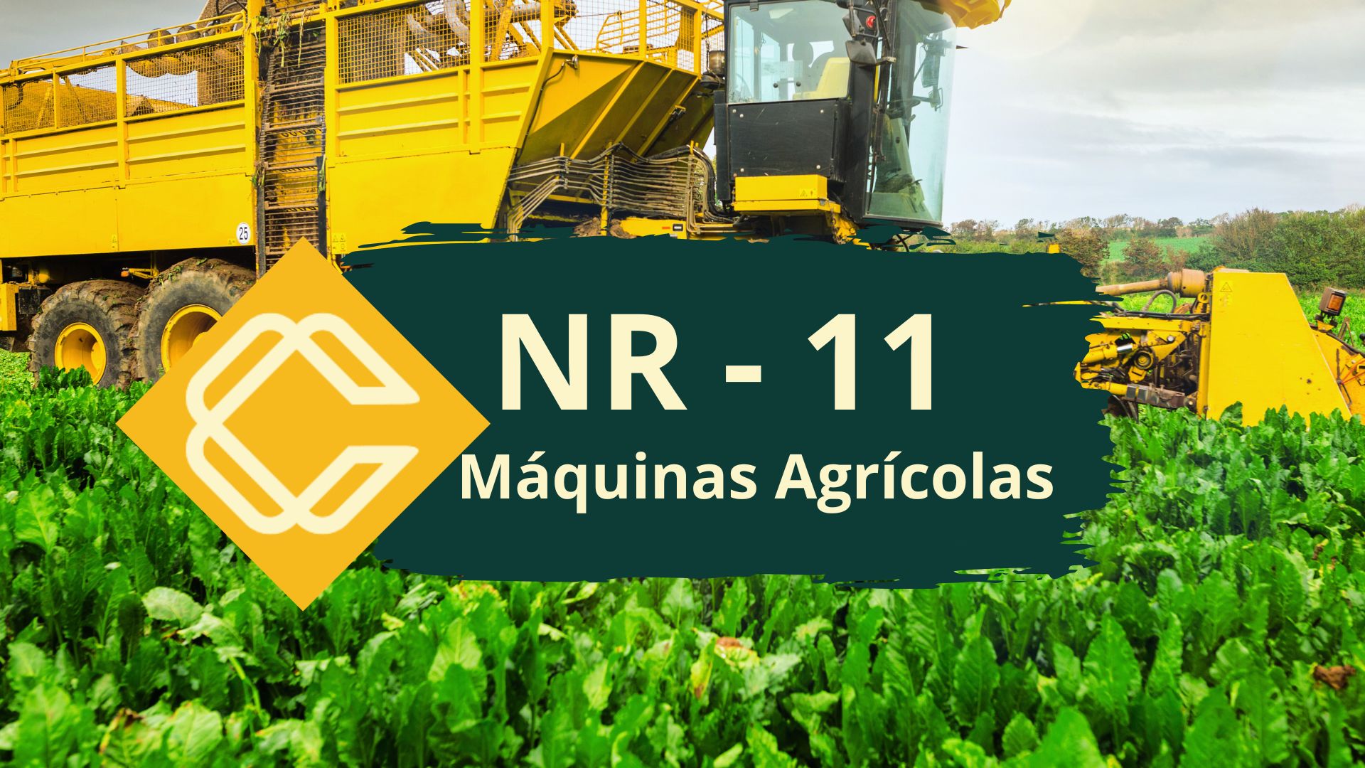 NR 11 — Operador Máquinas Agrícolas e Equipamentos