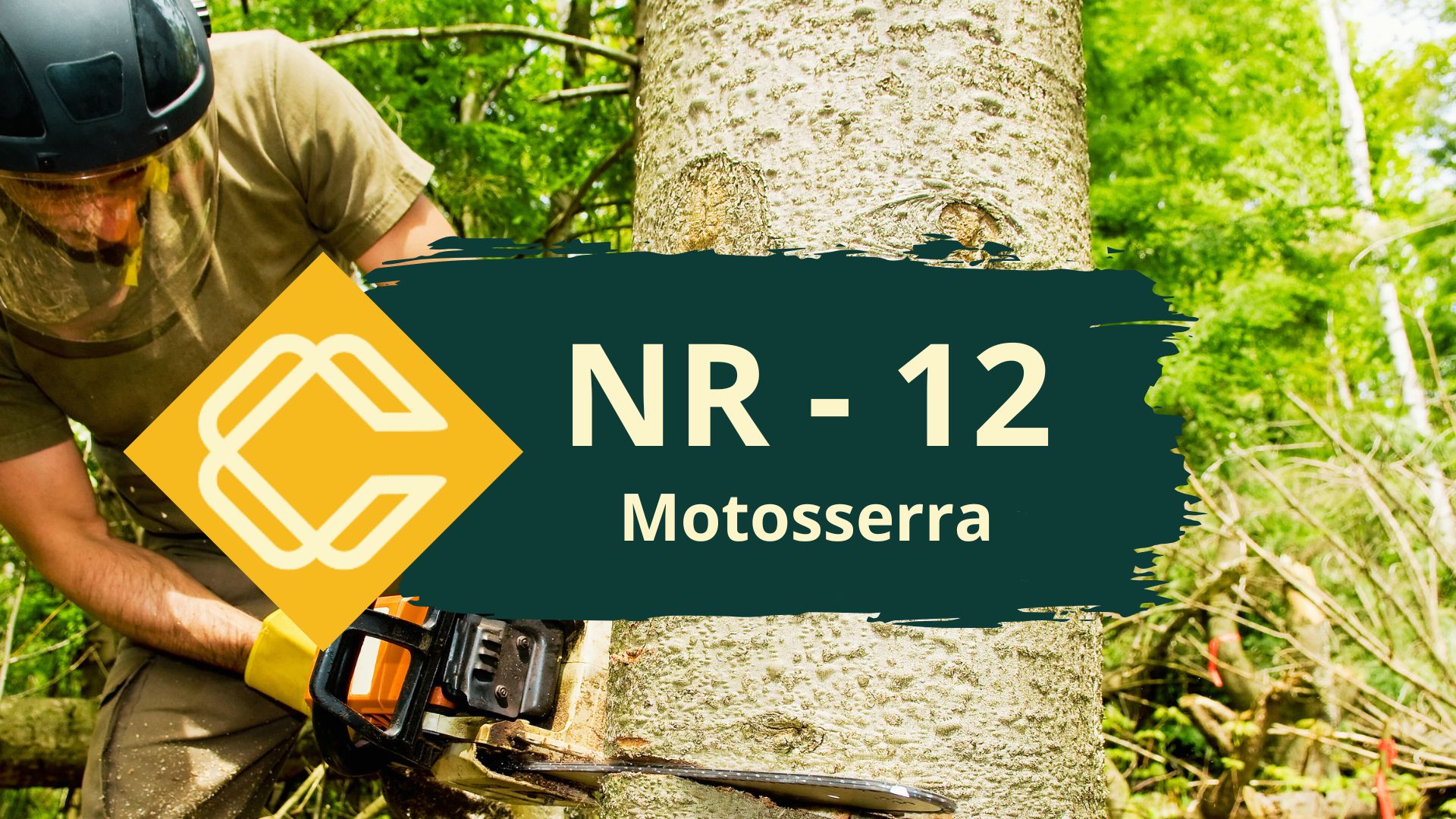 NR 12 – Máquinas e Equipamentos – Motosserra – Teórico