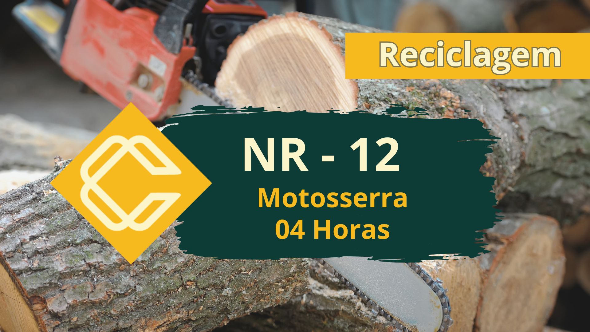 NR 12 – Máquinas e Equipamentos – Motosserra – Teórico – Reciclagem