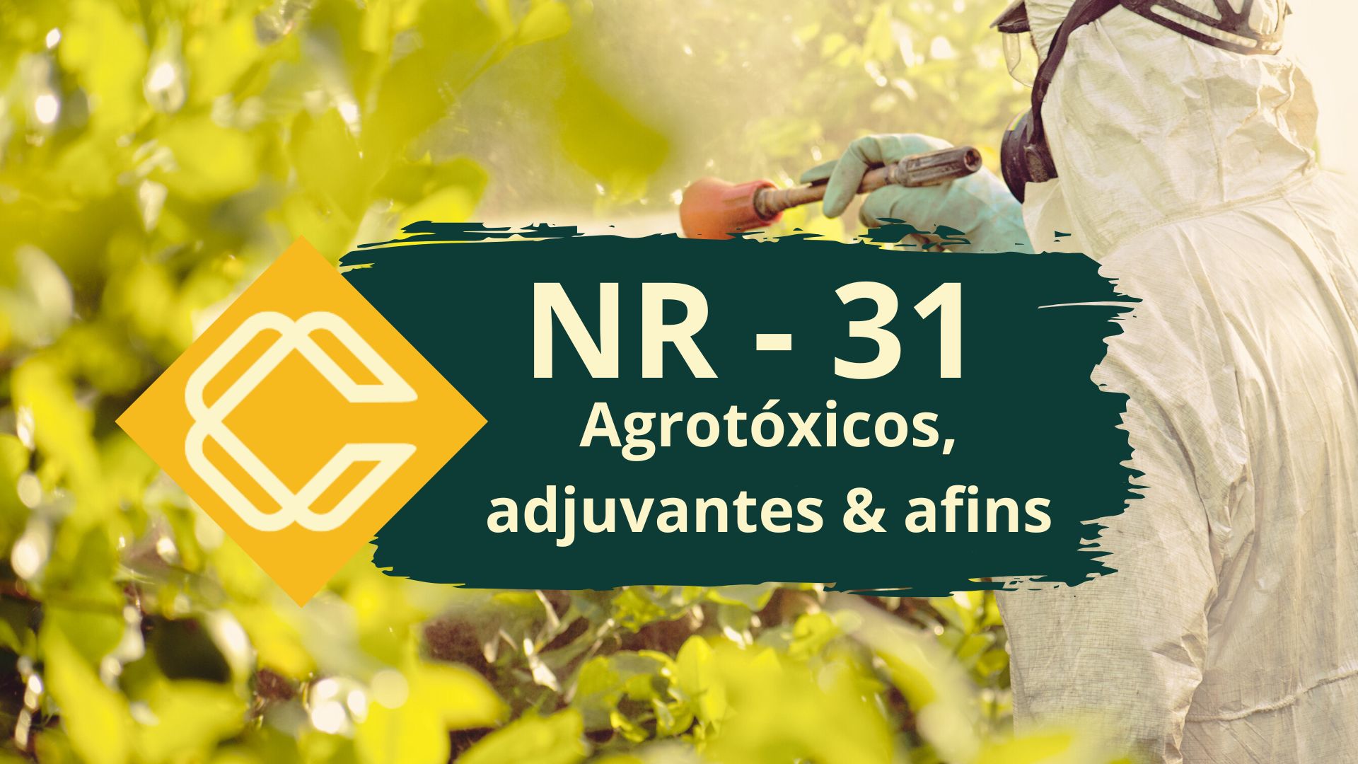 NR 31.7 – Agrotóxicos, Adjuvantes e Produtos Afins – Teórico