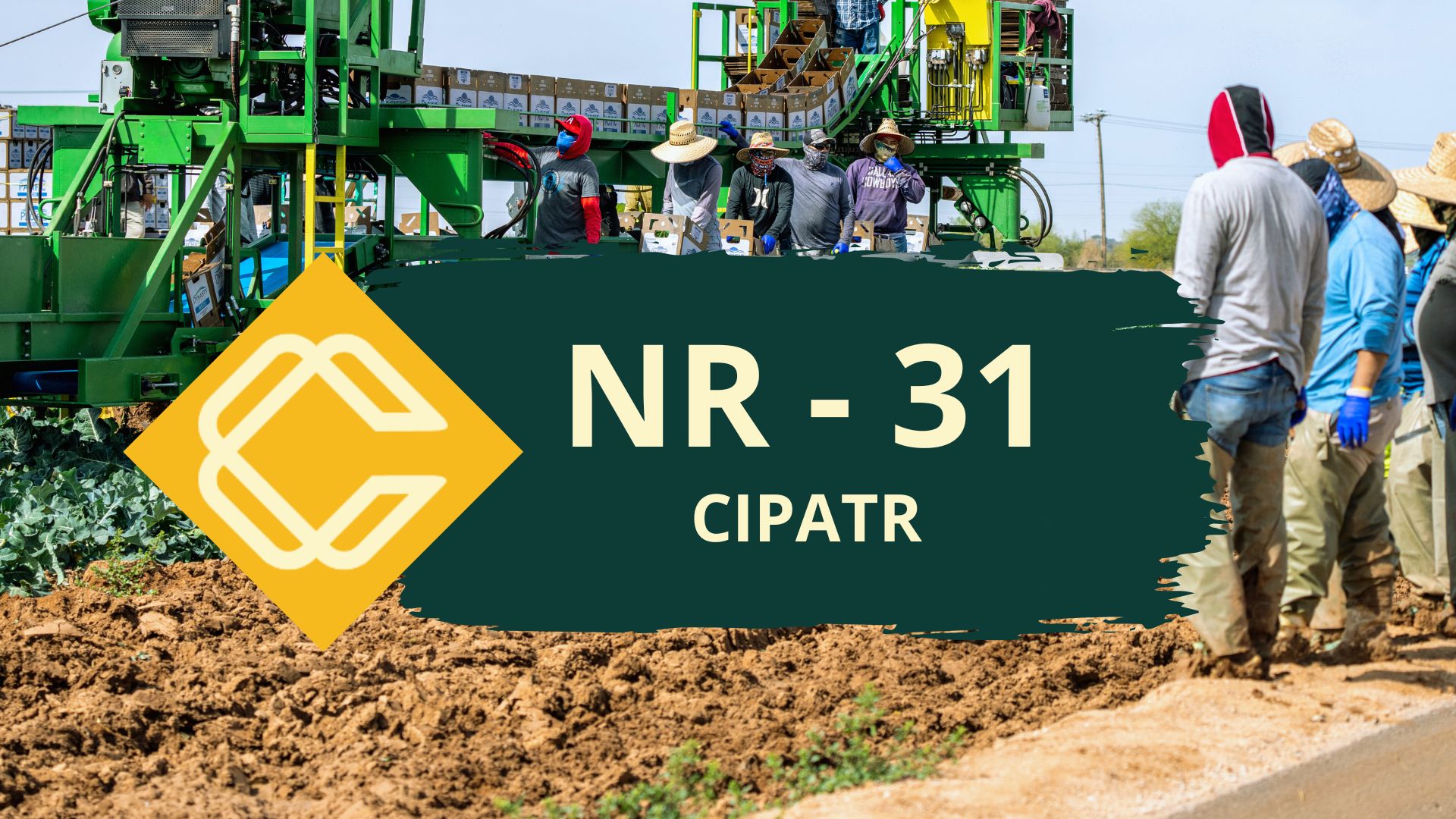 NR 31.5 CIPATR- Comissão Interna de Prevenção de Acidentes e de Assédio do Trabalho Rural – Teórico