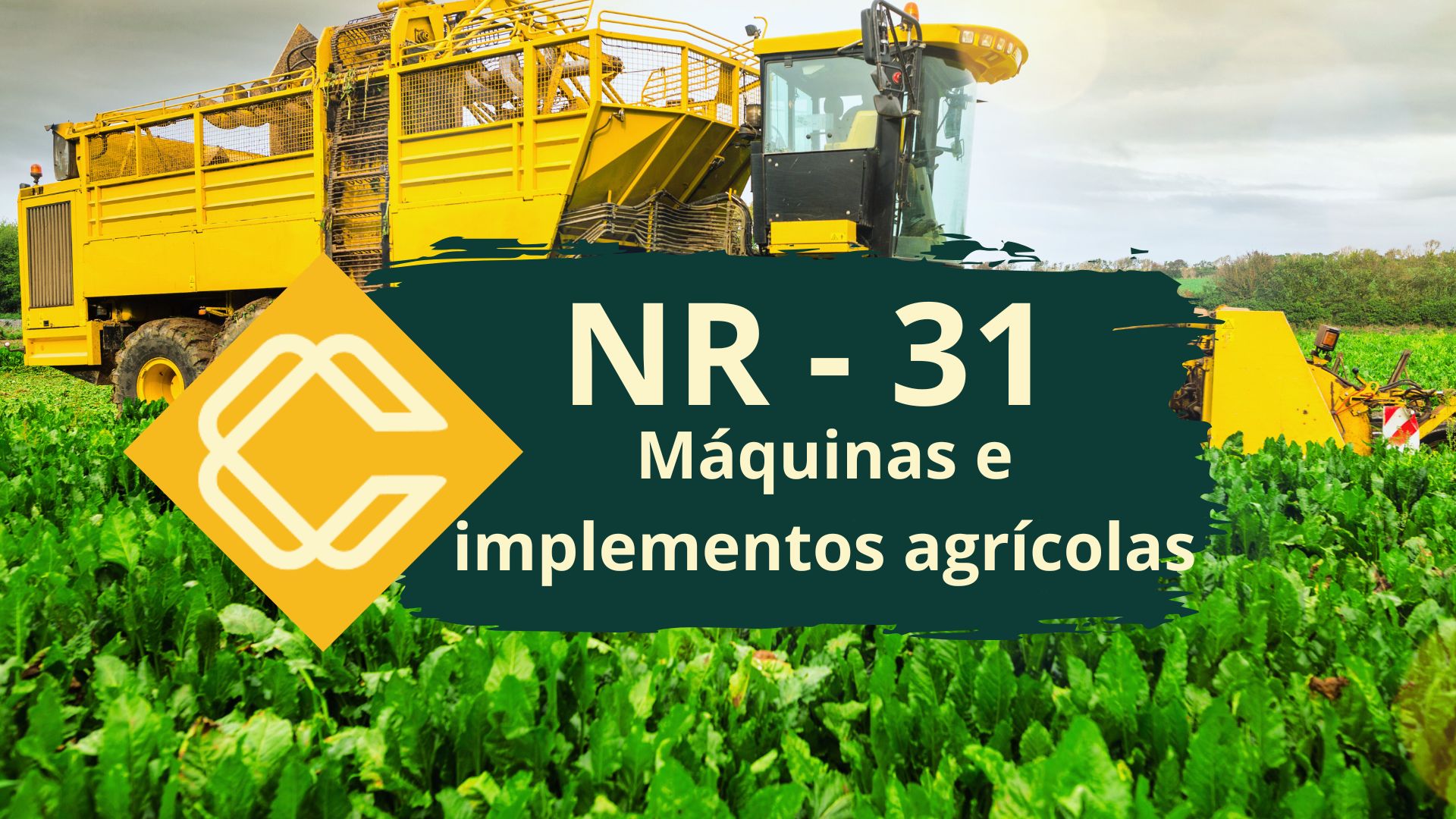 NR 31.12 – Segurança no Trabalho em Máquinas e Implementos Agrícolas – Teórico