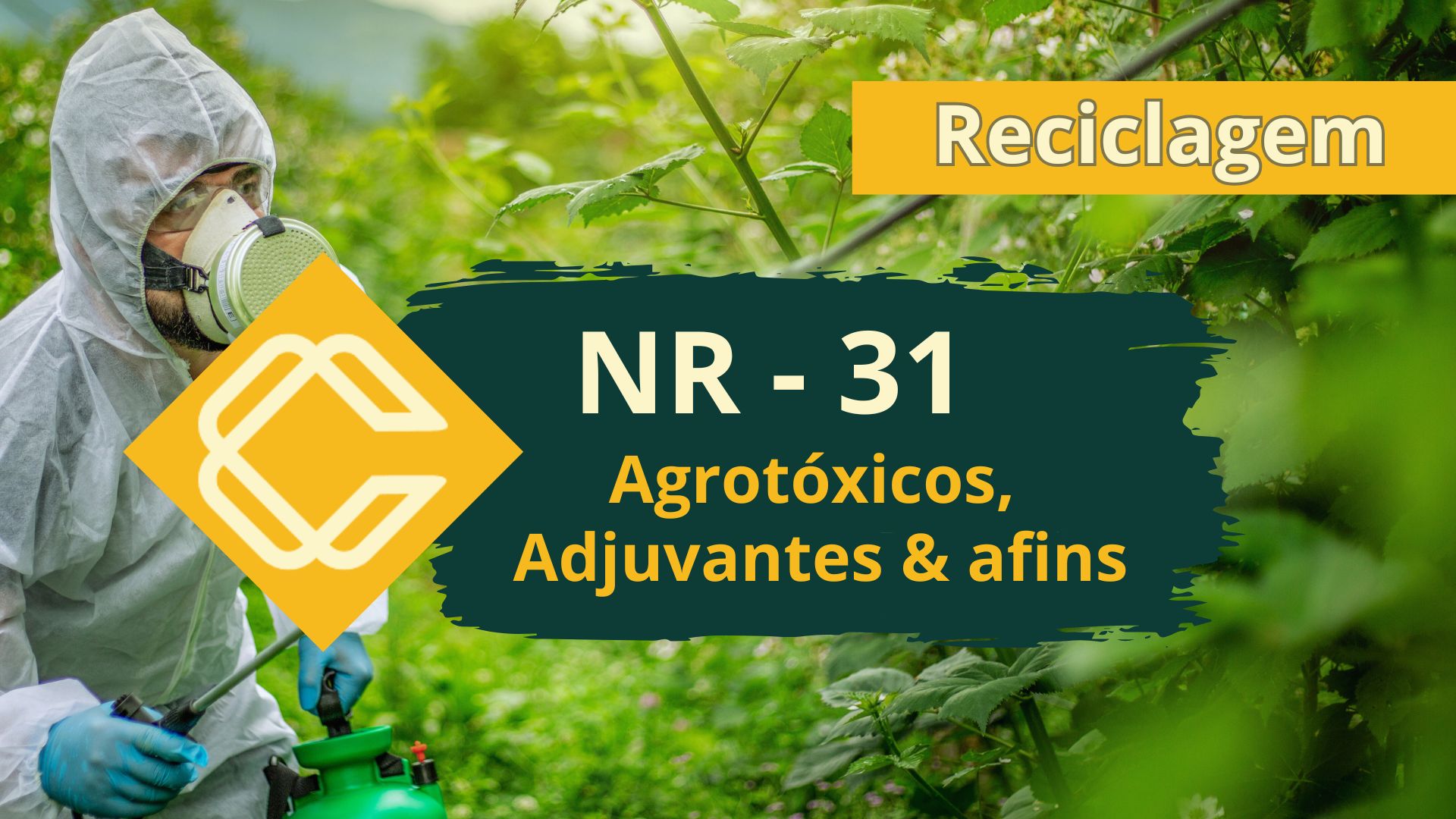 NR 31.7 – Agrotóxicos, Adjuvantes e Produtos Afins – Teórico – Reciclagem