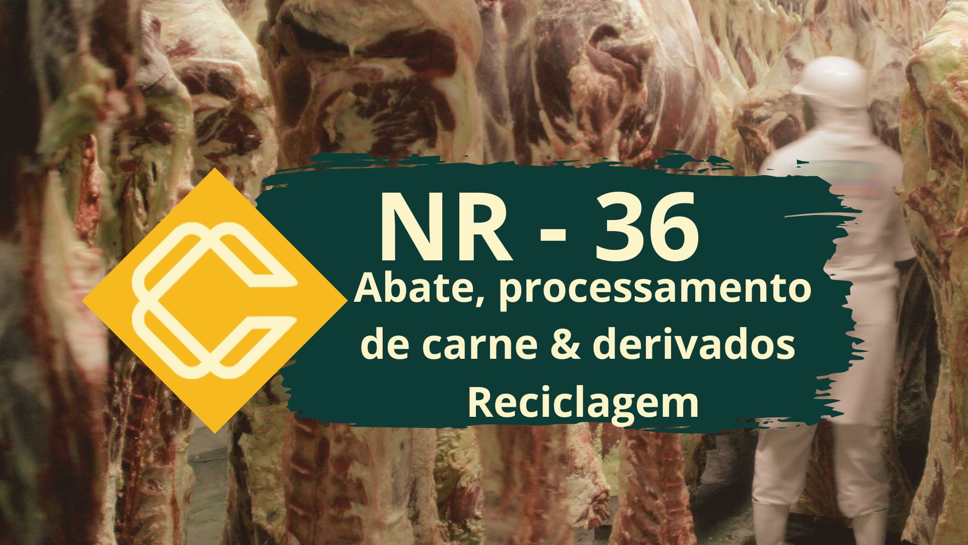 NR 36 – Segurança e Saúde no Trabalho em Empresas de Abate, Processamento de Carnes e Derivados – Reciclagem